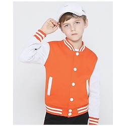 Boys 3D Coat Striped Long Sleeve Fall Polyester Active Vintage Kids School Daily