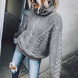 Women’s Pullover Sweater jumper Jumper Cable Chunky Knit Knitted Turtleneck Solid Color Daily Going out Basic Casual Winter Fall Blue Brown S M L / Long Sleeve / Regular Fit